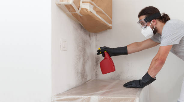 Professional Mold Testing technician working in Brightwaters, NY