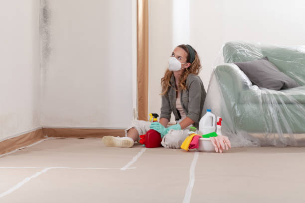 Reliable Mold Testing contractor in Brightwaters, NY by WQB Mold Removal